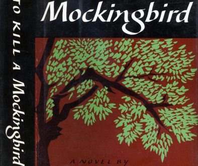 TO KILL A MOCKINGBIRD by Harper Lee   A book to reread as an adult.